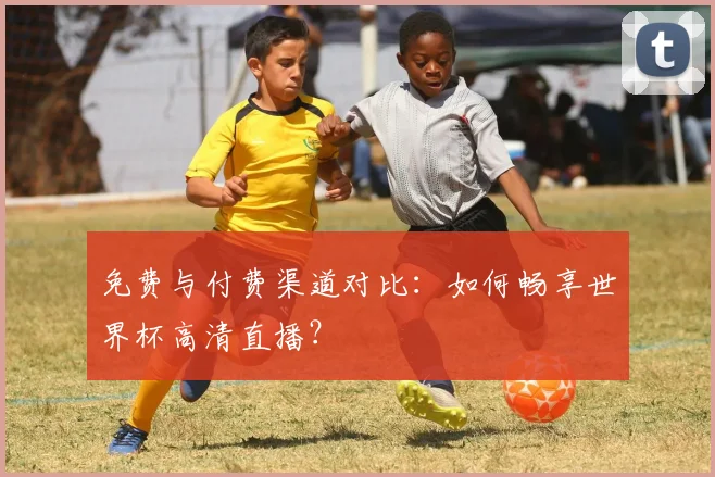 免费与付费渠道对比：如何畅享世界杯高清直播？