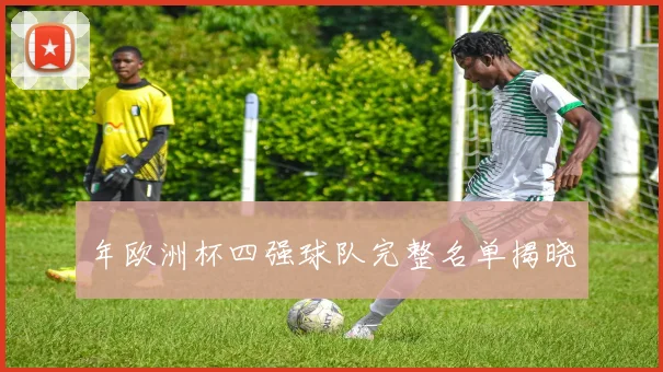 年欧洲杯四强球队完整名单揭晓