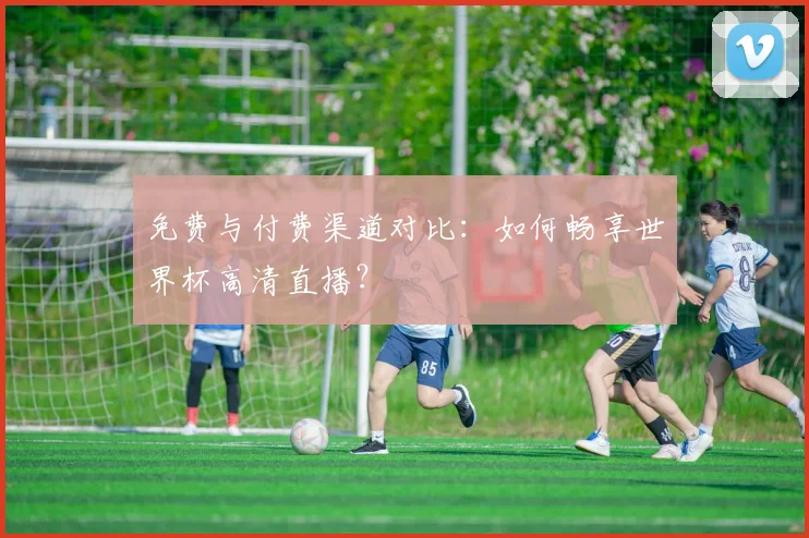 免费与付费渠道对比：如何畅享世界杯高清直播？