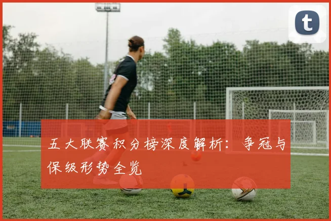 五大联赛积分榜深度解析：争冠与保级形势全览