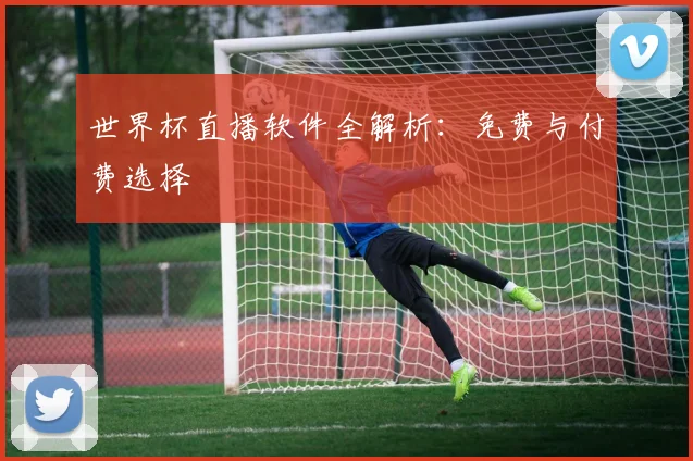 世界杯直播软件全解析:免费与付费选择