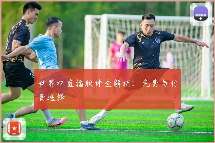 世界杯直播软件全解析：免费与付费选择