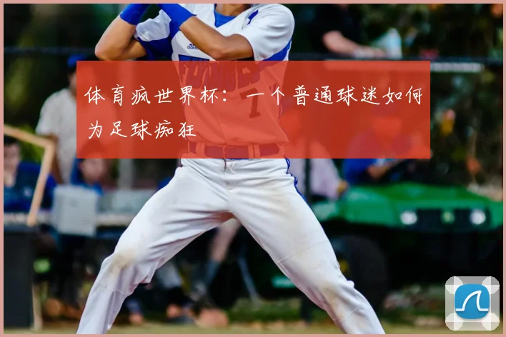 体育疯世界杯：一个普通球迷如何为足球痴狂