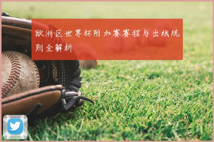 欧洲区世界杯附加赛赛程与出线规则全解析