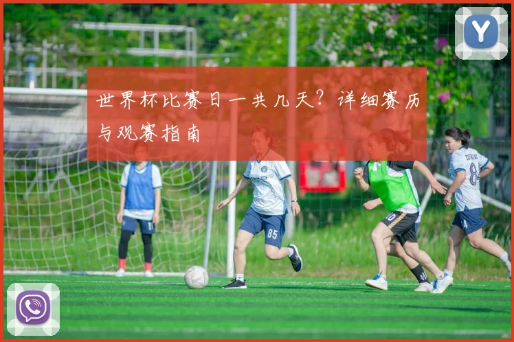 世界杯比赛日一共几天？详细赛历与观赛指南
