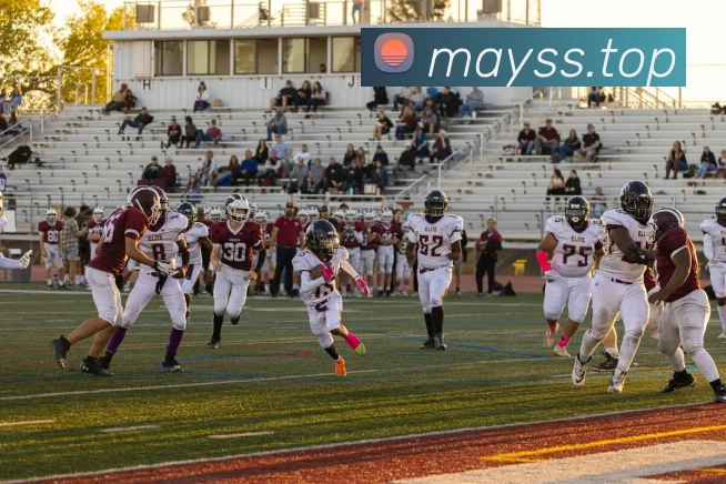 欧宝网品牌故事